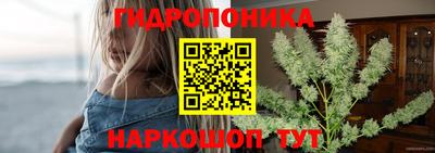 spice Гусь-Хрустальный