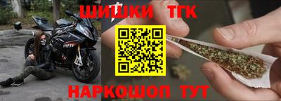 прущие грибы Гусиноозёрск