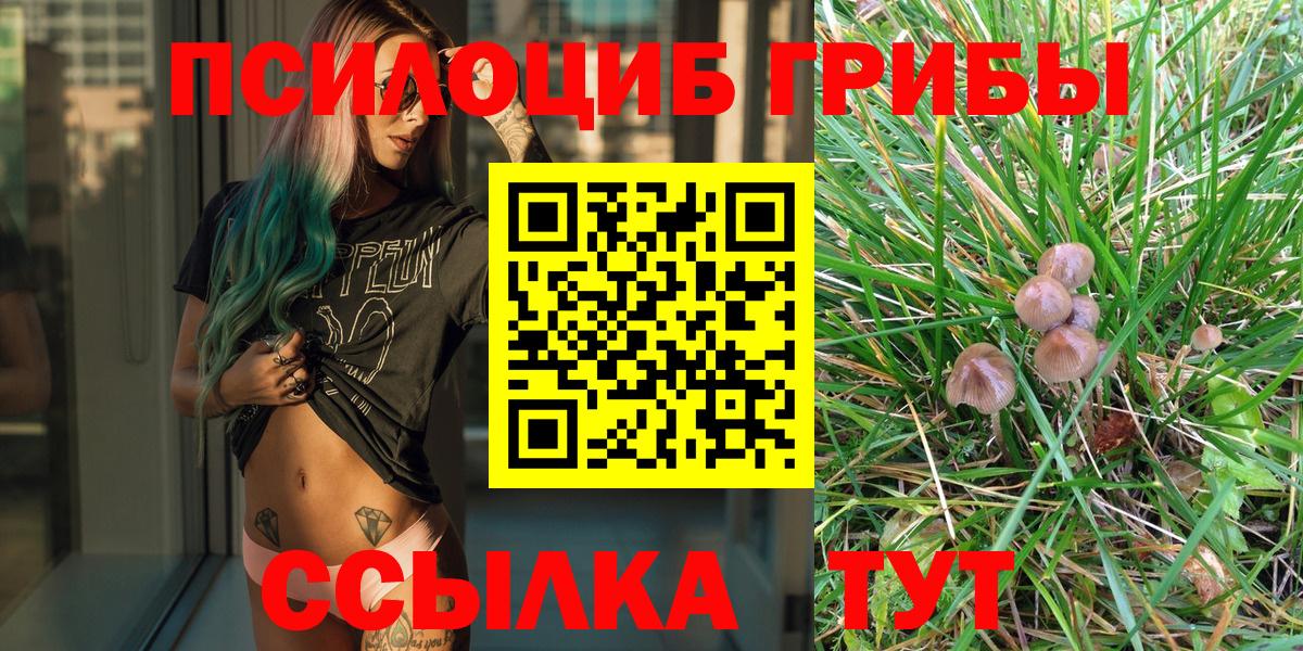 Гашиш  Новошахтинск  МДМА  Бошки Шишки  ГАШИШ  Меф   LSD-25  Вход с VPN  A-PVP СК кристаллы  Экстази 